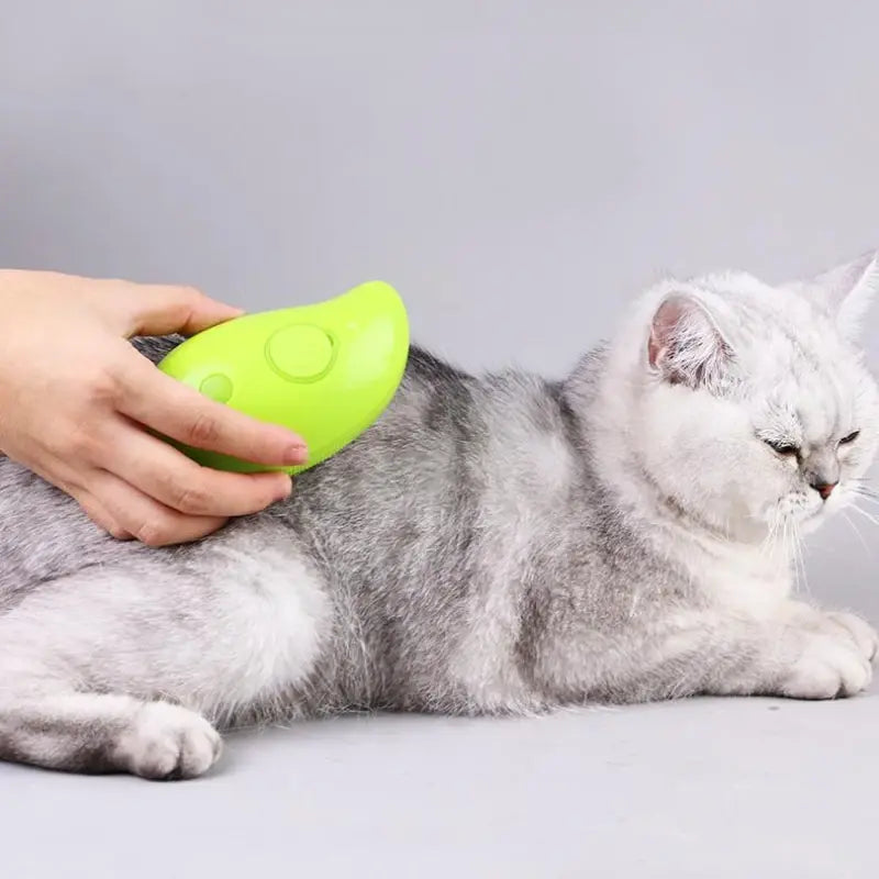 Electric steam cleaning brush for pets